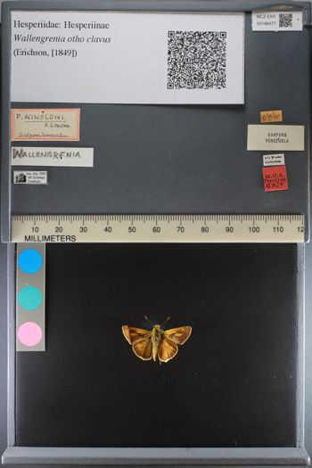 Media type: image;   Entomology 198477